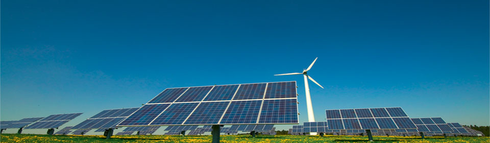 WinterCat12Cocona_960x280